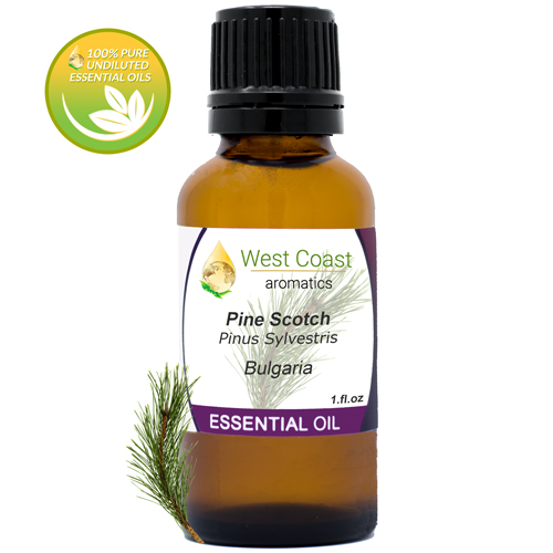 Essential-Oil_Pine-Scotch_Bulgaria_1oz.jpg