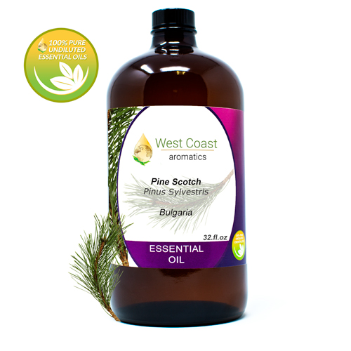 Essential-Oil_Pine-Scotch_Bulgaria_32oz.jpg