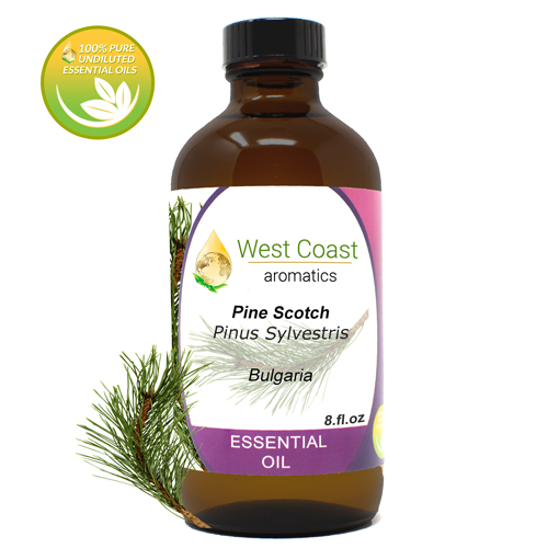 Essential-Oil_Pine-Scotch_Bulgaria_8oz.jpg