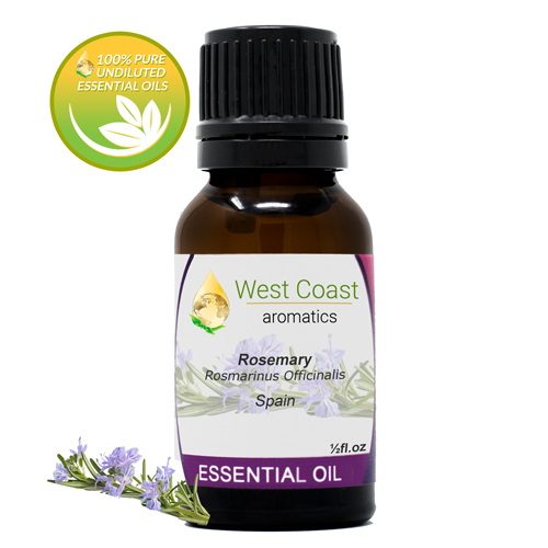 Essential-Oil_Rosemary_Spain_1-2oz.jpg