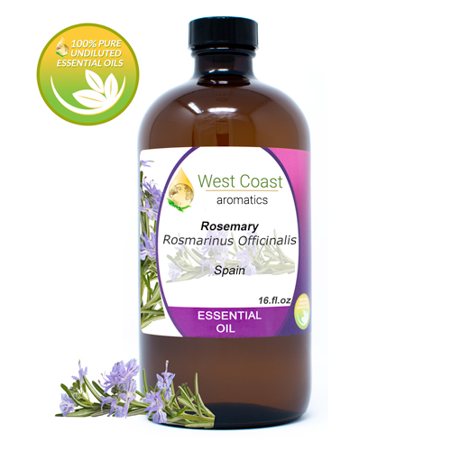 Essential-Oil_Rosemary_Spain_16oz.jpg