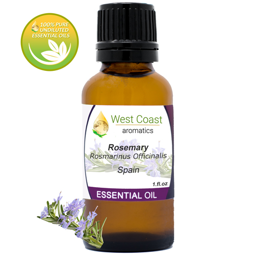 Essential-Oil_Rosemary_Spain_1oz.jpg