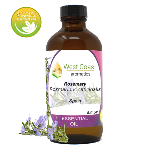 Essential-Oil_Rosemary_Spain_8oz.jpg