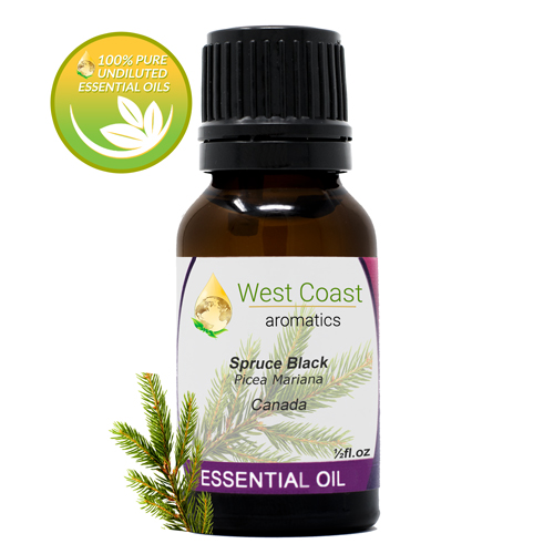 Essential-Oil_Spruce-Black_Canada_1-2oz.jpg