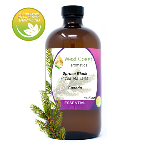 Essential-Oil_Spruce-Black_Canada_16oz.jpg