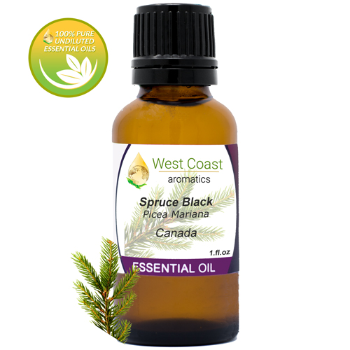 Essential-Oil_Spruce-Black_Canada_1oz.jpg