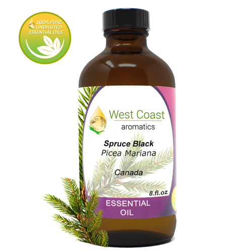 Essential-Oil_Spruce-Black_Canada_8oz.jpg