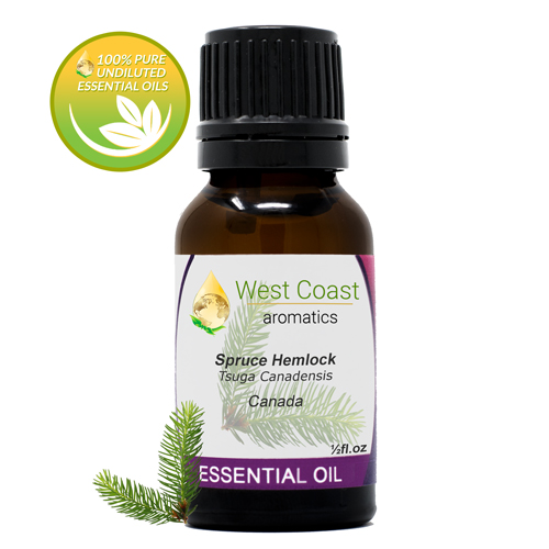 Essential-Oil_Spruce-Hemlock_Canada_1-2oz.jpg