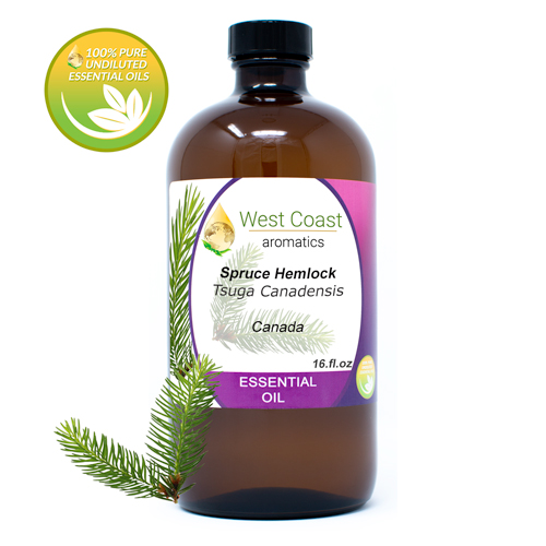 Essential-Oil_Spruce-Hemlock_Canada_16oz.jpg