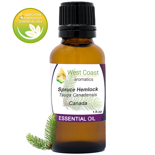 Essential-Oil_Spruce-Hemlock_Canada_1oz.jpg