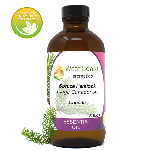 Essential-Oil_Spruce-Hemlock_Canada_8oz.jpg