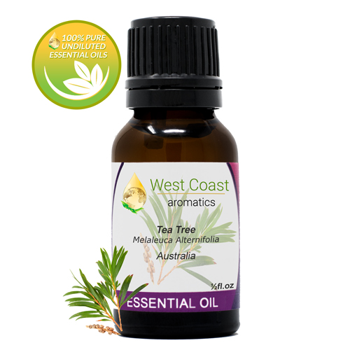 Essential-Oil_Tea-Tree_Australia_1-2oz.jpg