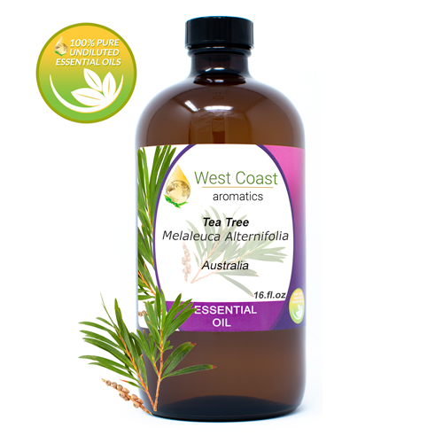 Essential-Oil_Tea-Tree_Australia_16oz.jpg