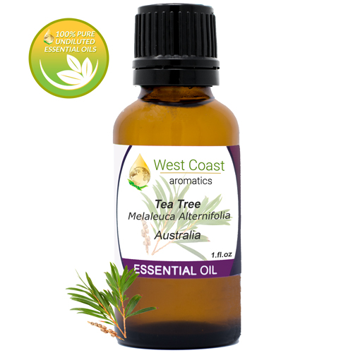 Essential-Oil_Tea-Tree_Australia_1oz.jpg