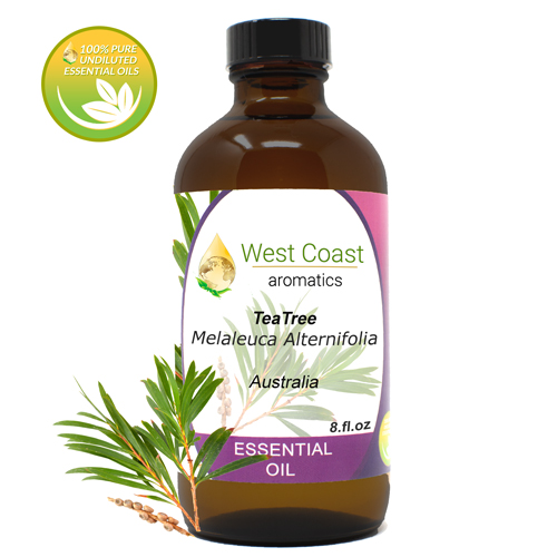 Essential-Oil_Tea-Tree_Australia_8oz.jpg