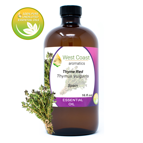 Essential-Oil_Thyme-Red_Spain_16oz.jpg