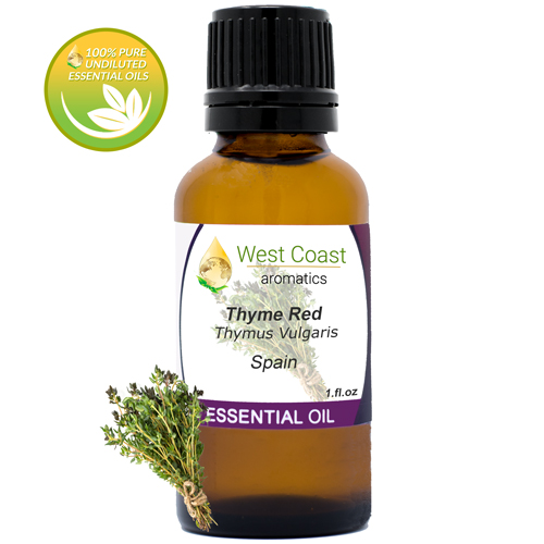 Essential-Oil_Thyme-Red_Spain_1oz.jpg