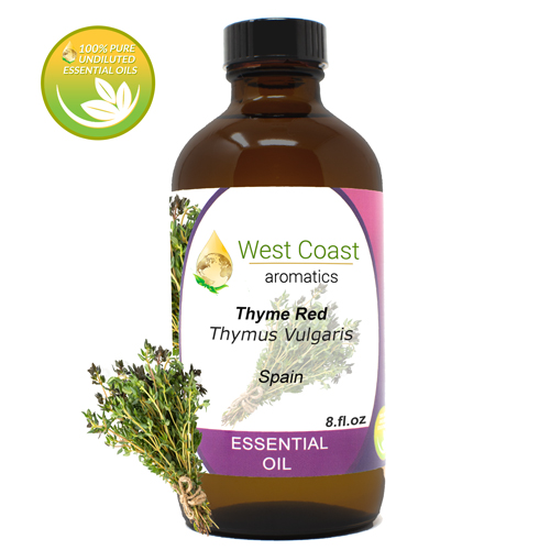 Essential-Oil_Thyme-Red_Spain_8oz.jpg