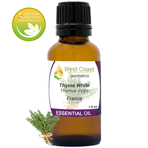 Essential-Oil_Thyme-White_France_1oz.jpg