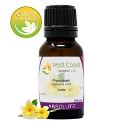 Frangipani Absolute 15 ml – premium floral oil for natural perfume and wellness blends